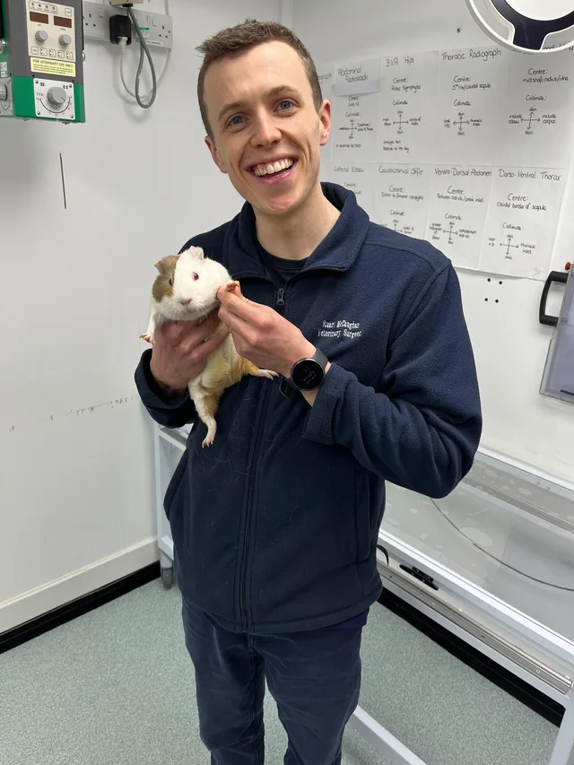 Guinea pig at Ashwood