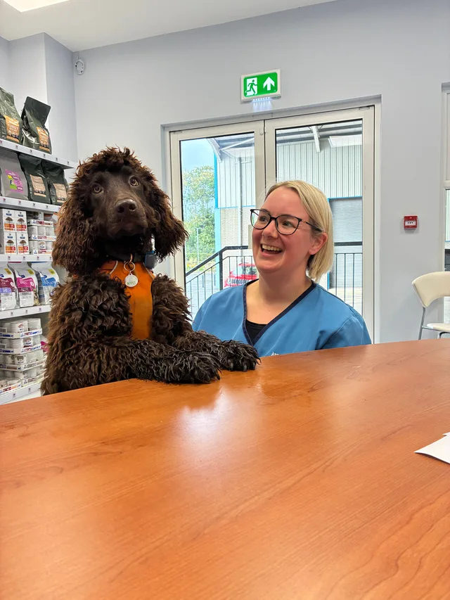 Dog visiting Ashwood