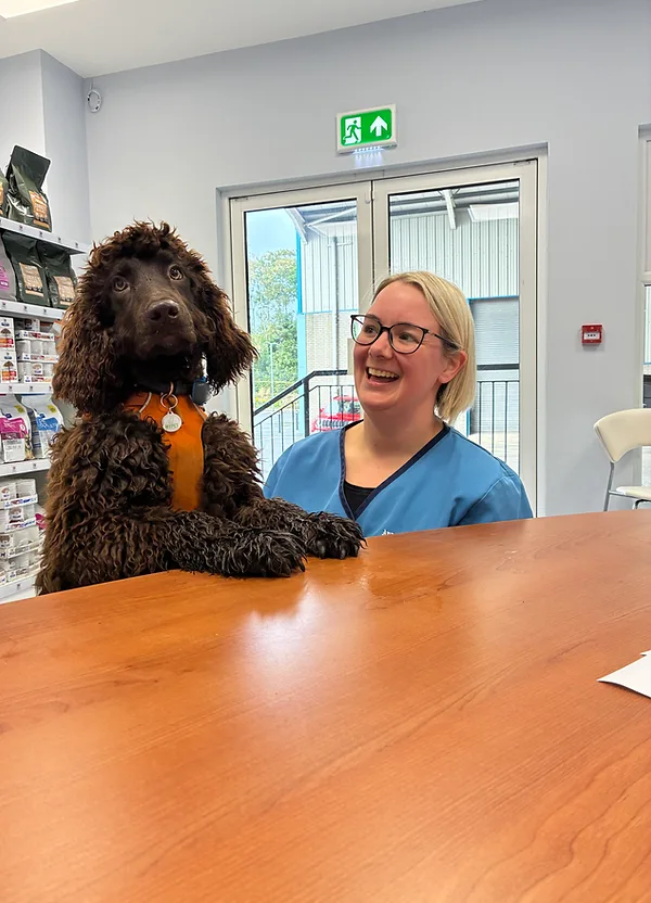 Ashwood patient at reception