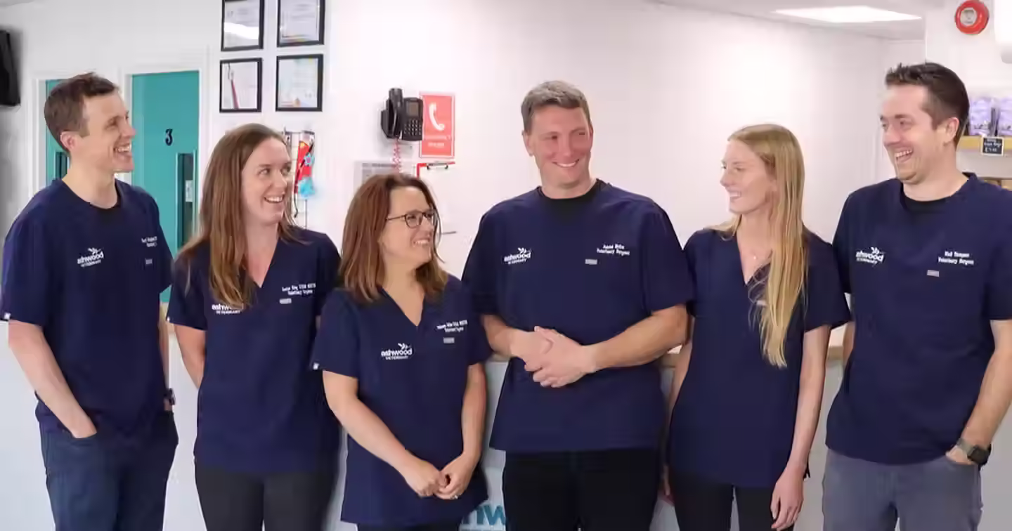 The Ashwood Vets team