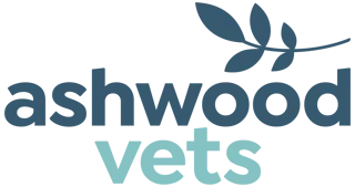 Ashwood Vets