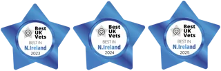 BestUKVet Awards 2020 to 2026
