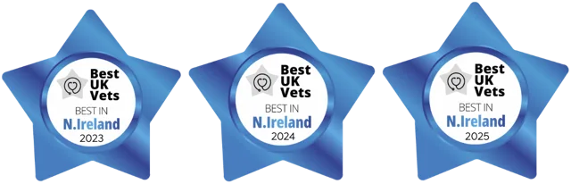 BestUKVet Awards 2020 to 2026