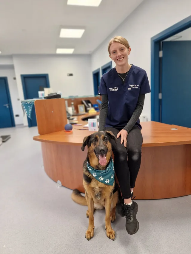 Woman with a dog in the clinic