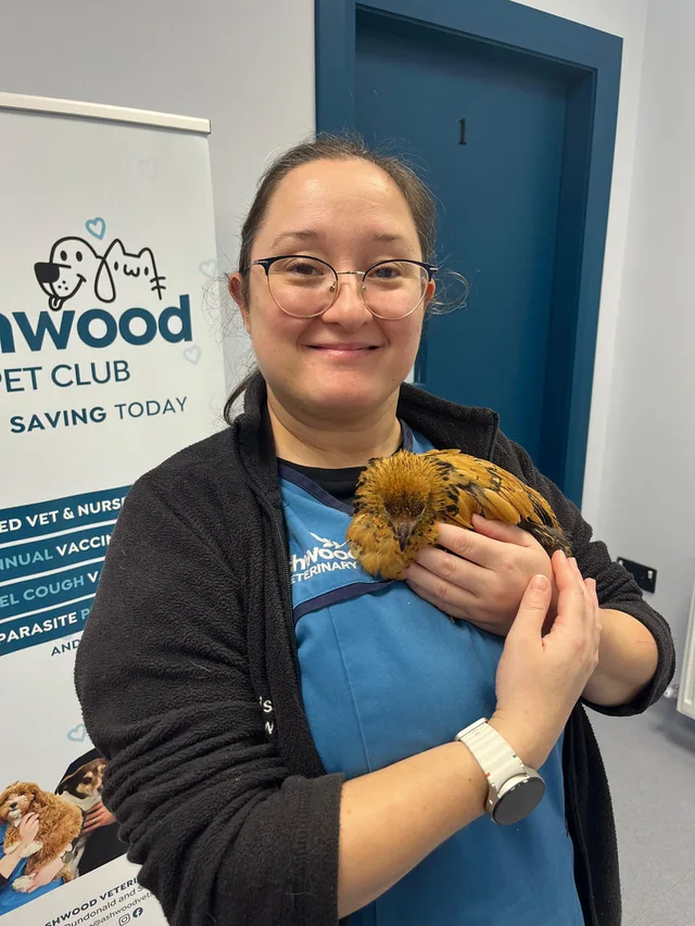 Pet Club member holding a guinea pig