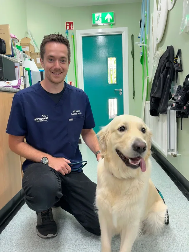 Veterinary professional with a golden retriever