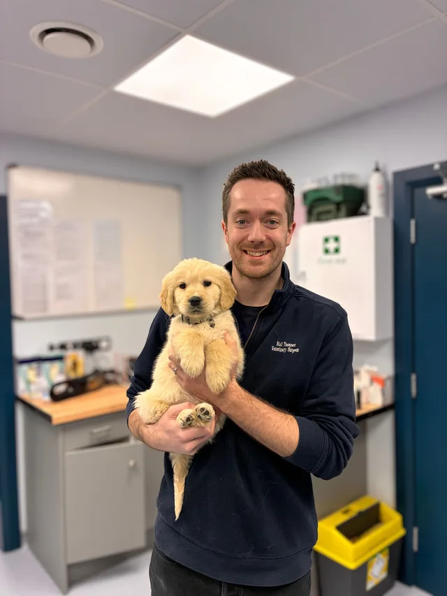 Man holding a golden retriever puppy