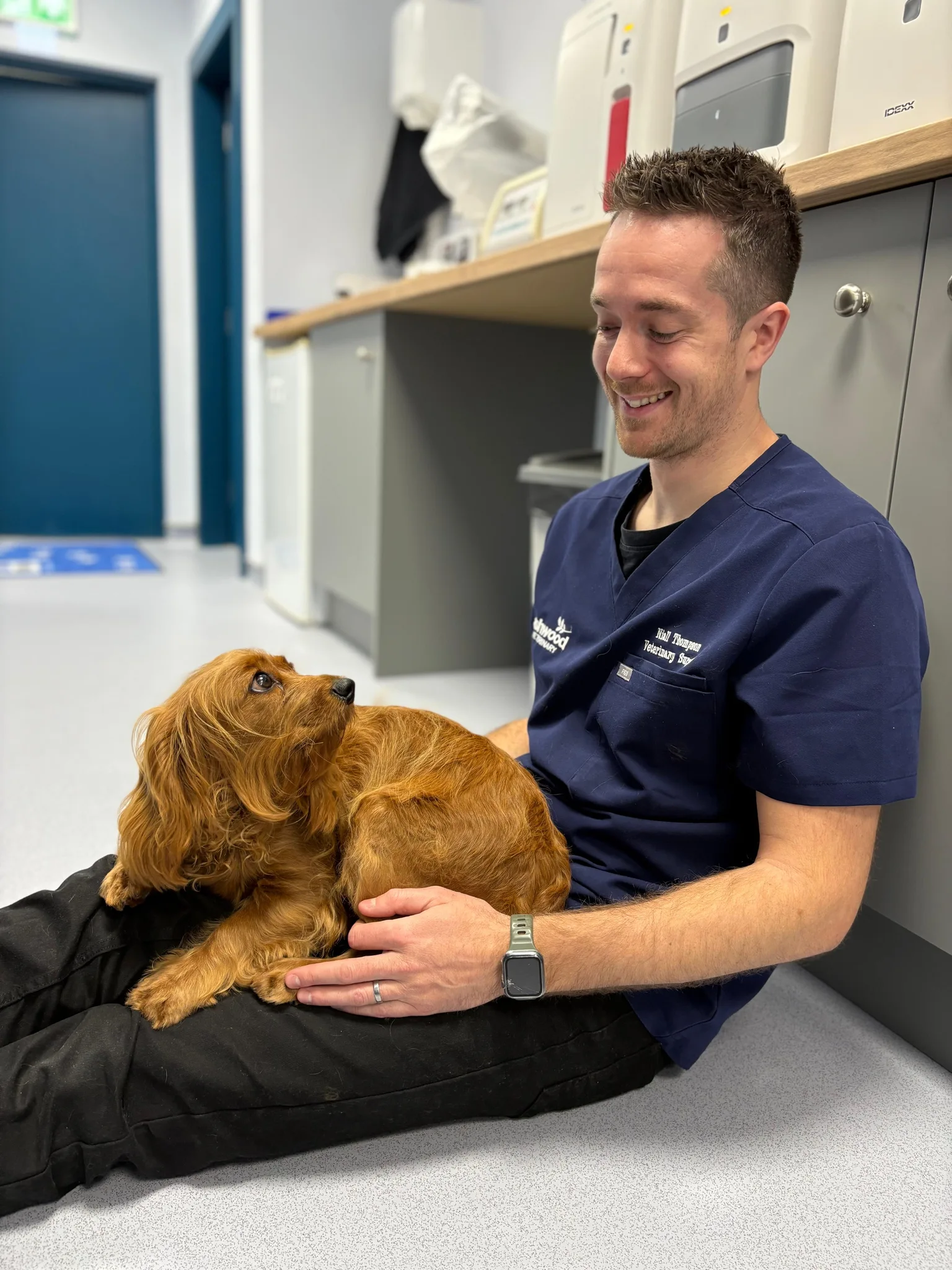 A Ashwood Vets vet with a dog during a consultation