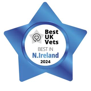 Best UK Vets — Best in Northern Ireland 2024