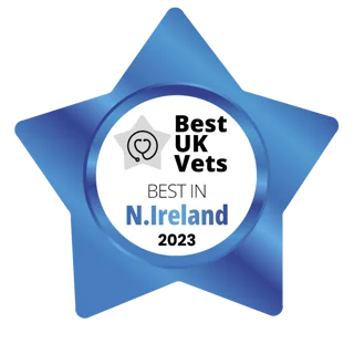Best UK Vets — Best in Northern Ireland 2023